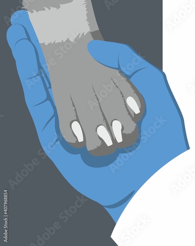 Hand of a veterinarian in medical glove gently holds a dog's paw on a dark greyish blue background. Symbol of love for dogs. Zoologist. Animal protecting community.