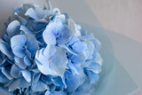 Bouquet of blue hydrangea on a gray wall background