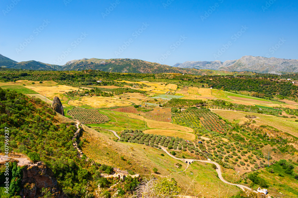 Rural areas with olive trees plantations as seen from hills of town of Ronda in Andalusia, Spain