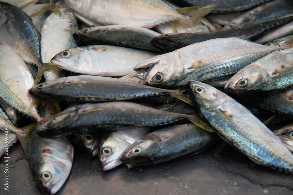 Fresh mackerel sold at a fresh market in Thailand..