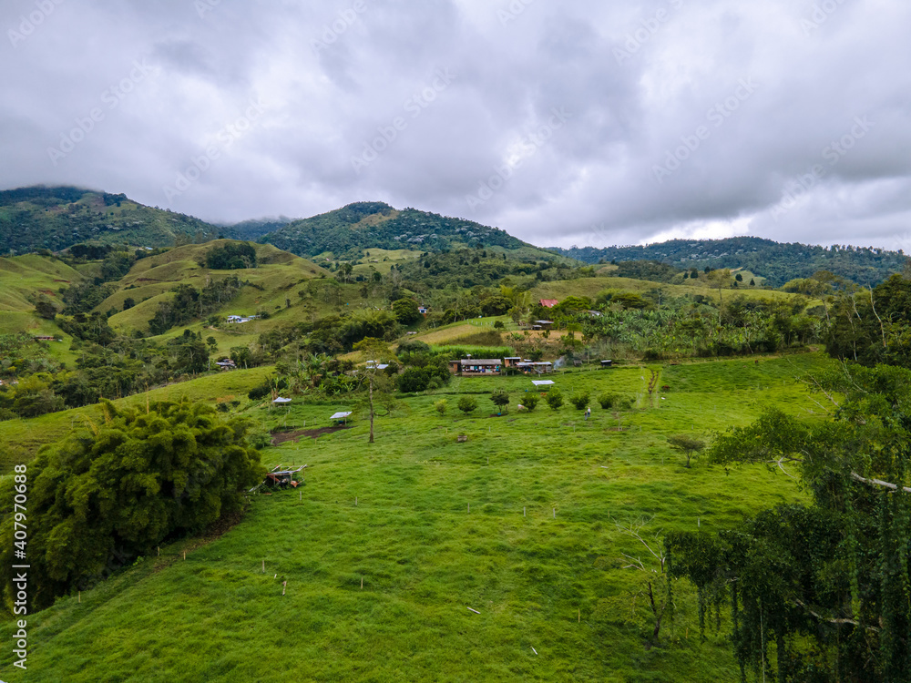 Fototapeta premium pasture in the mountains