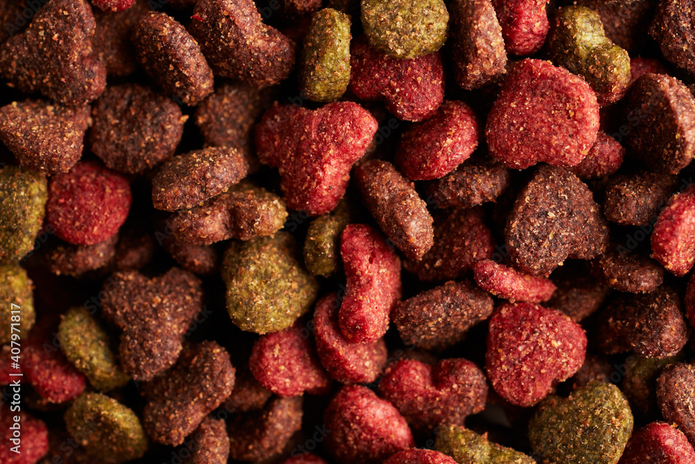 Closeup of dried cat food background Closeup of dried cat food background