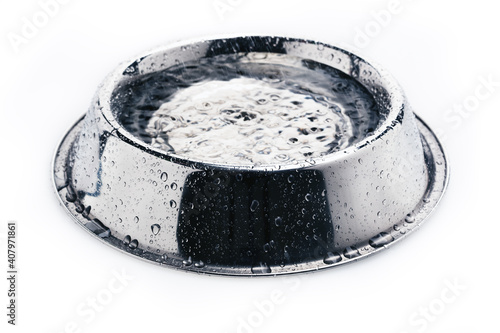 Close-up of an empty iron dog bowl with a drinking water isolated on white background