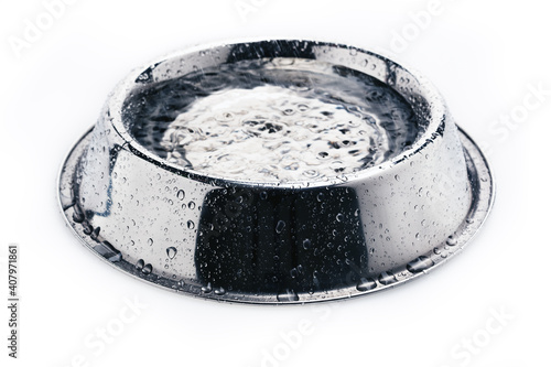 Close-up of an empty iron dog bowl with a drinking water isolated on white background