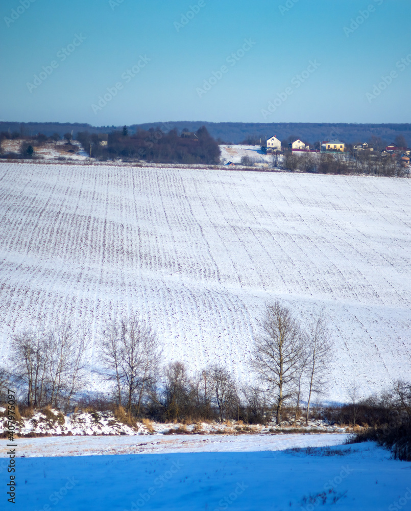 The snow-covered field of the harvested crop