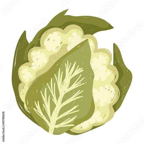 cauliflower fresh vegetable health food icon white background