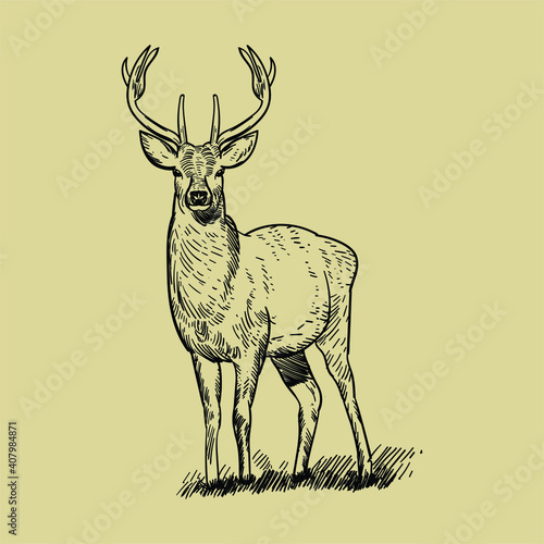 Vintage deer black