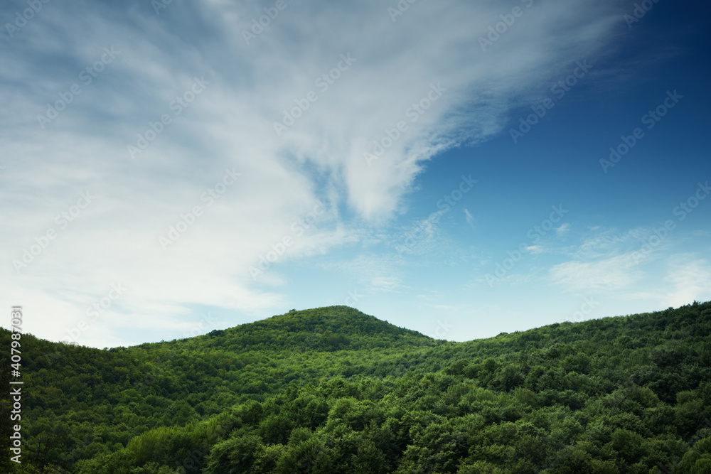 Mountain beech forest in the mountains of Crimea in the spring at dawn. Mountain beech forest in the mountains of Crimea in the spring at dawn.