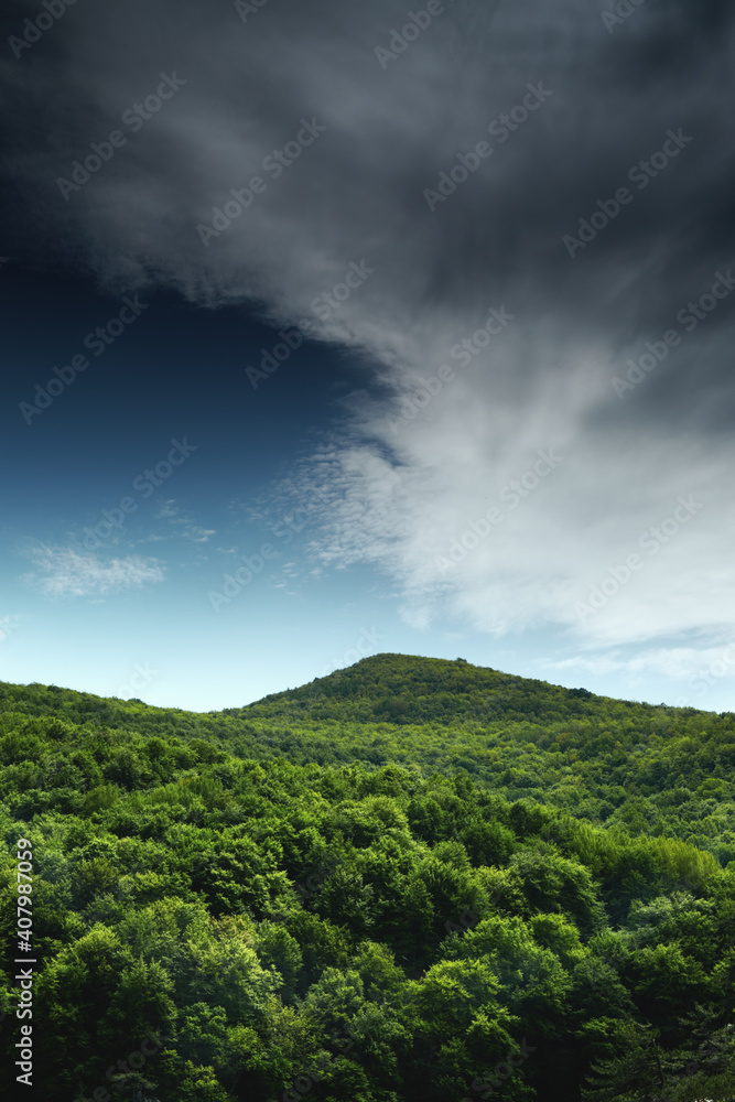 Mountain beech forest in the mountains of Crimea in the spring at dawn.