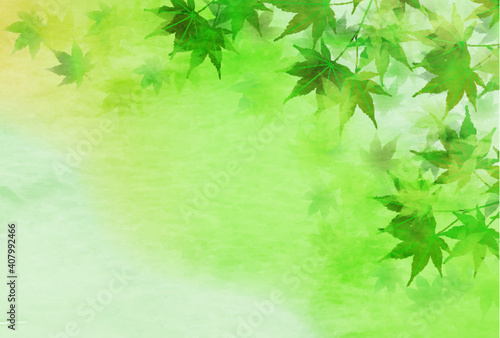 新緑　もみじ　和紙　背景