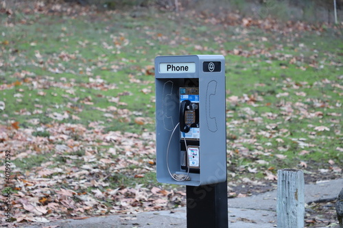 Payphone in the Park by a Path