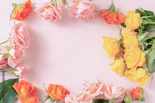 Pastel color rose frame