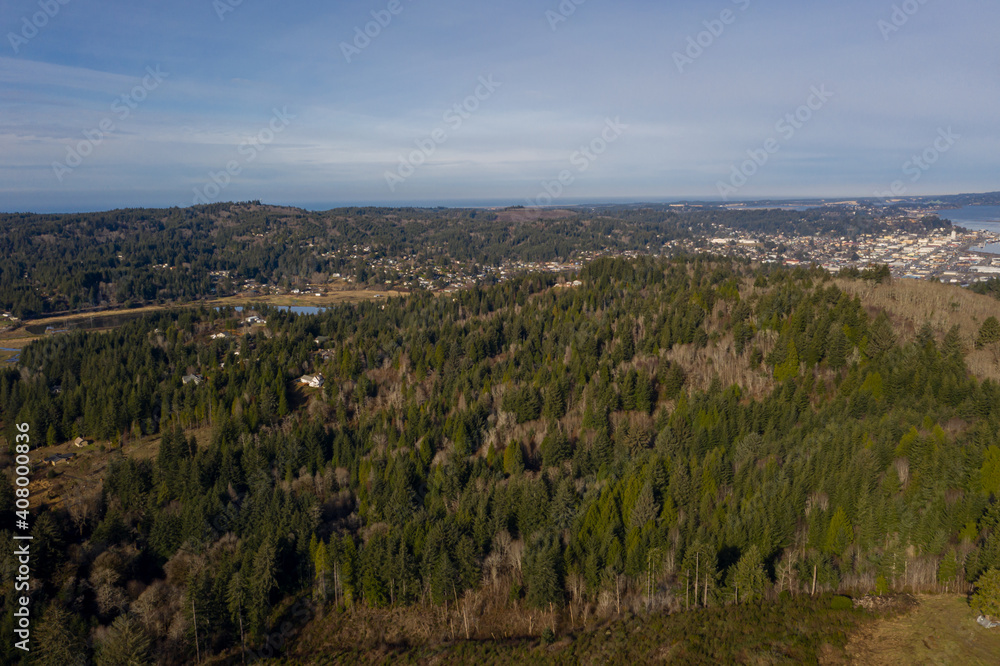 Aerial of forest around Coos Bay, Oregon