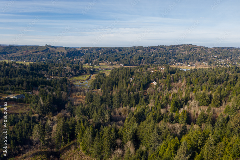 Aerial of forest around Coos Bay, Oregon