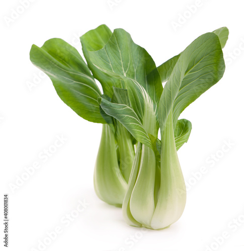 Chinese cabbage. Bok choy vegetable on white background photo