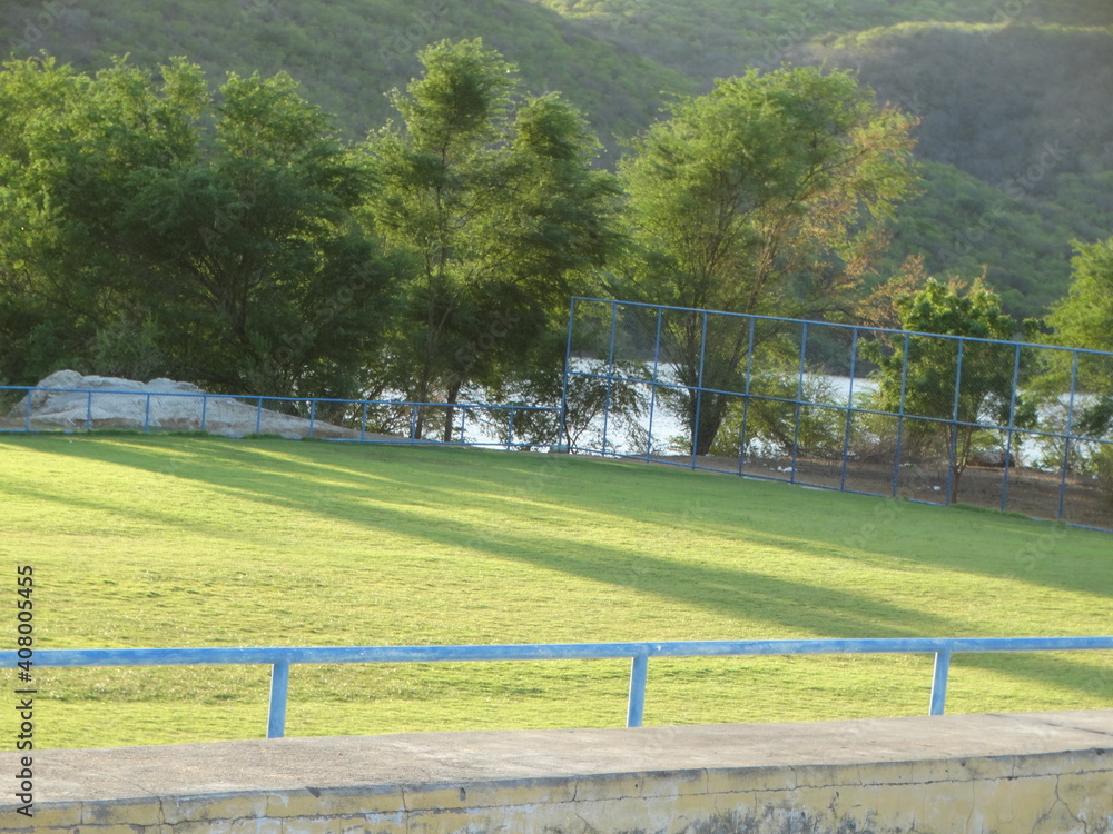 Fototapeta premium Campo