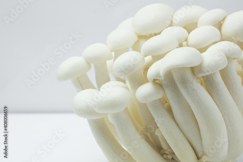 Fotografia, Obraz Shimeji mushroom or White beech mushroom isolated on white background
