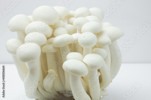 Shimeji mushroom or White beech mushroom isolated on white background.