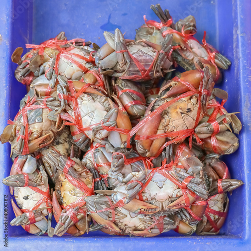 Fresh crab in the box at a sea food market for the selling