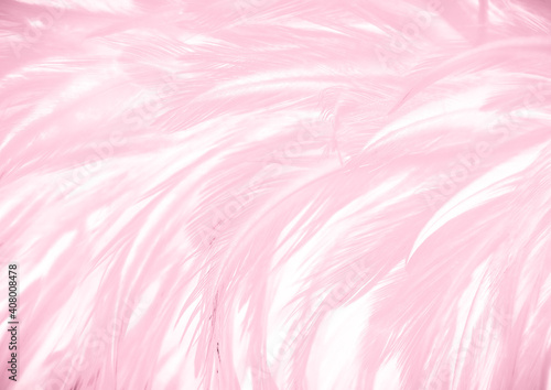 Beautiful abstract light pink feathers on white background,  white feather frame texture on pink pattern and pink background, love theme wallpaper and valentines day, sweet heart wedding 