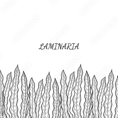 4 border seaweed sketch
