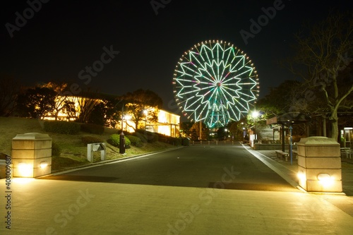 葛西臨海公園夜景 ライトアップされた観覧車 
