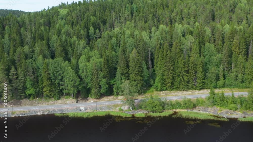 Lake and rocky coast. Coniferous forest. Summer, aerial view