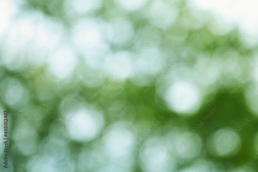 Obraz premium Blur background from tree and sky