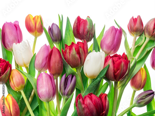 Colorful bouquet of tulips on white background.