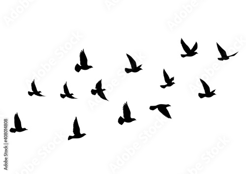 Flying birds silhouettes on white background. Vector illustration. isolated bird flying. tattoo design. © SeemaLotion