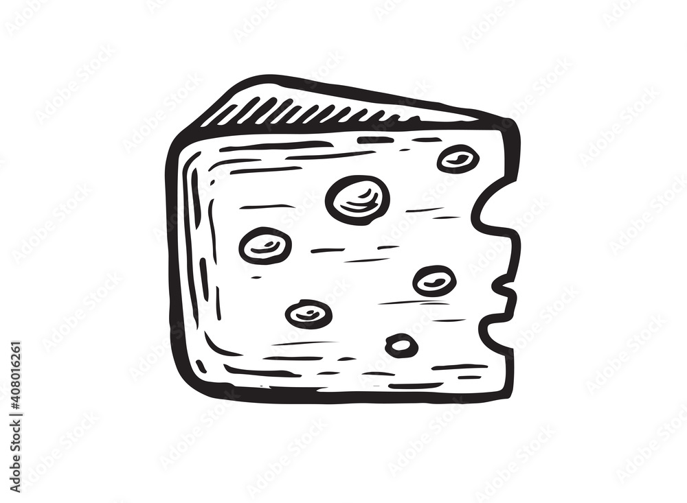 Cheese, Hand drawn style illustration. Vector.