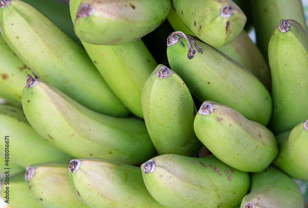 green bananas on the market green bananas on the market