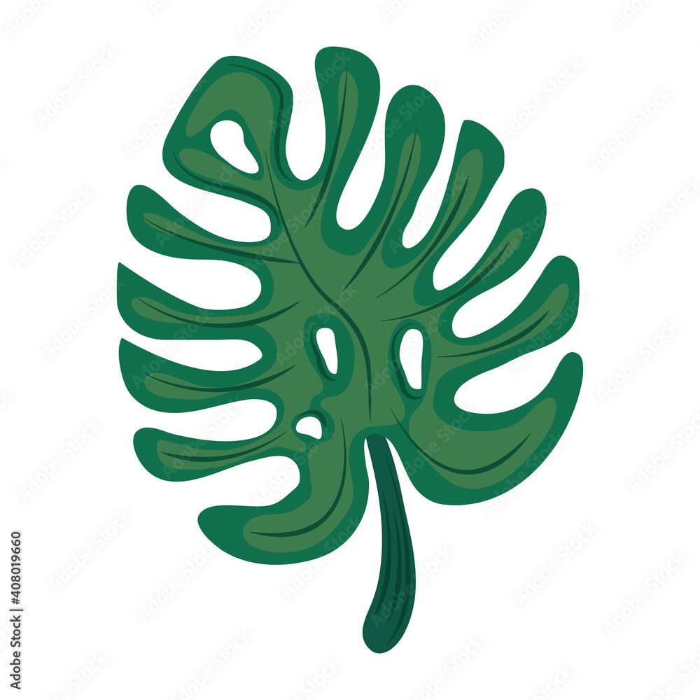 tropical monstera leaf foliage icon flat design tropical monstera leaf foliage icon flat design