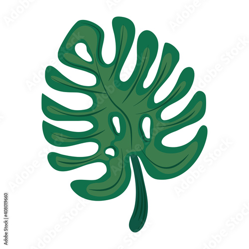 tropical monstera leaf foliage icon flat design
