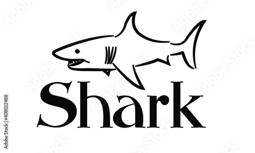 Large predatory marine fish of the shark