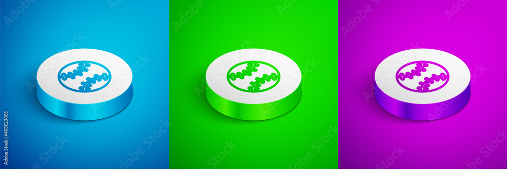 Isometric line Baseball ball icon isolated on blue,green and purple background. White circle button. Vector. Isometric line Baseball ball icon isolated on blue,green and purple background. White circle button. Vector.
