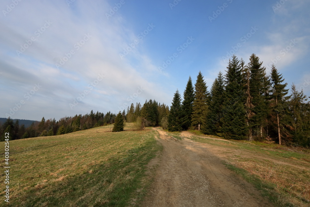 Fototapeta premium road in the mountains