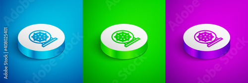 Isometric line Dharma wheel icon isolated on blue,green and purple background. Buddhism religion sign. Dharmachakra symbol. White circle button. Vector.