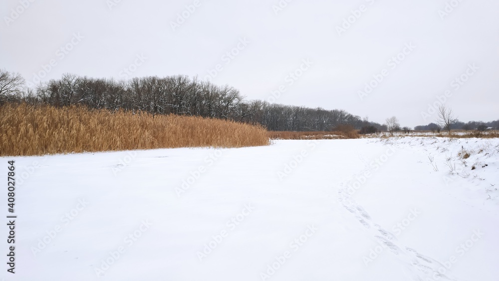 landscape with river
