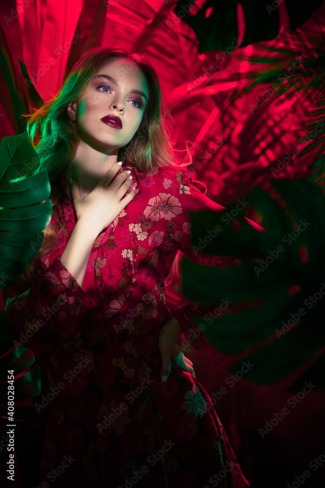 goddess in the tropics goddess in the tropics