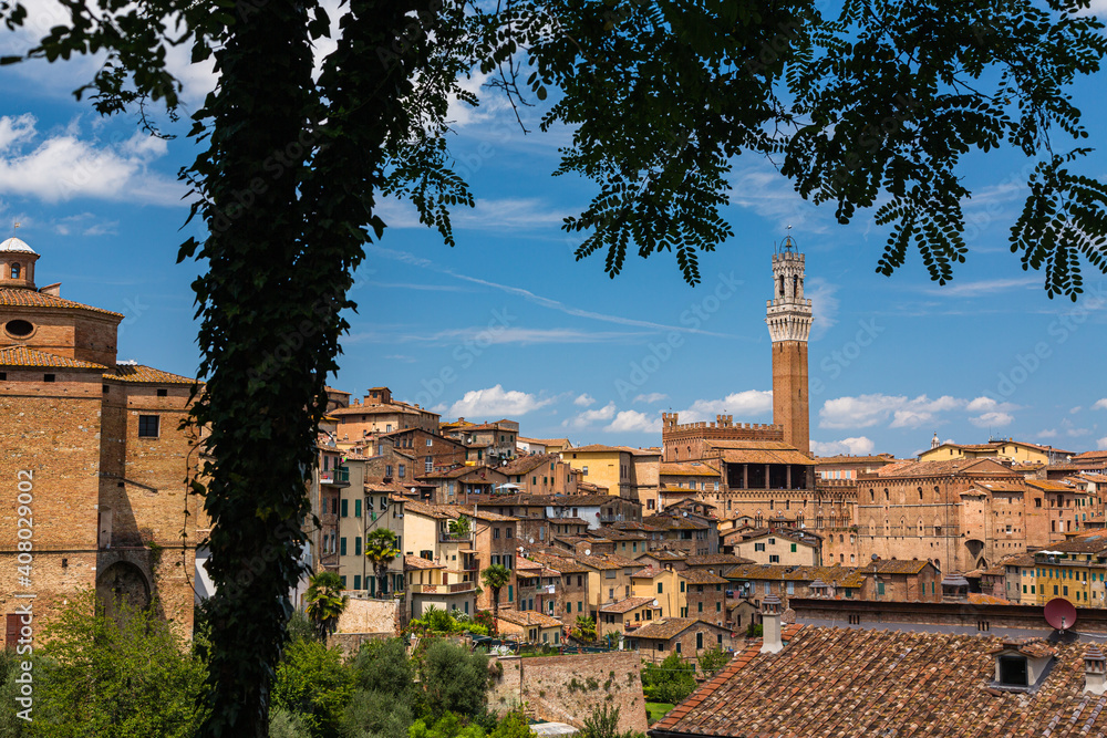 イタリア　シエナの丘から見える旧市街とマンジャの塔