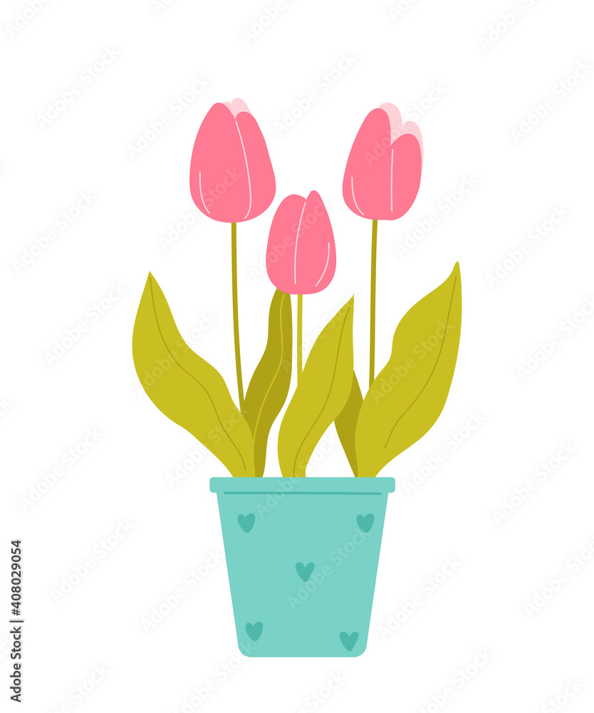 Pink tulips in a pot. Beautiful spring potted flowers isolated on white background. Vector illustration in flat style. Pink tulips in a pot. Beautiful spring potted flowers isolated on white background. Vector illustration in flat style.