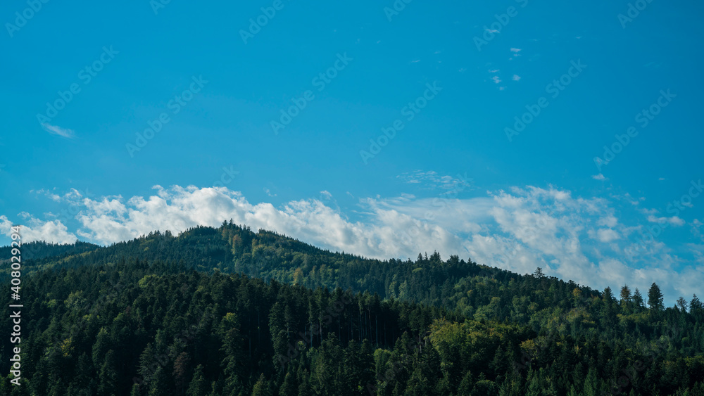 Germany, Black Forest Schwarzwald view above endless green forest mountains nature landscape of conifer and fir trees with blue sky in summer