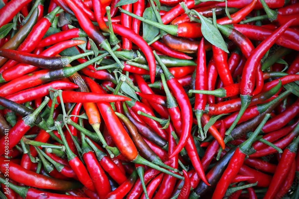 Fresh red chili peppers Background Fresh Organic Herb Ingredient.