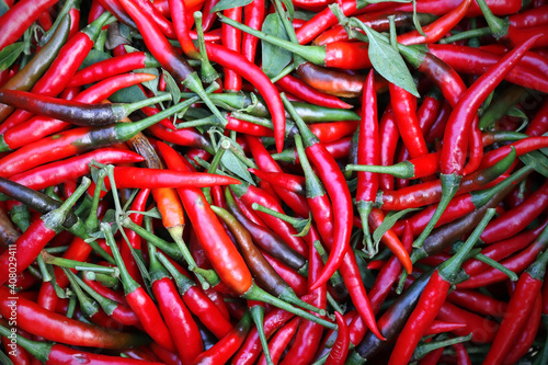 Fresh red chili peppers Background Fresh Organic Herb Ingredient.