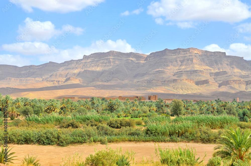 Morocco -  Draa Valley, oasis on Sahara desert