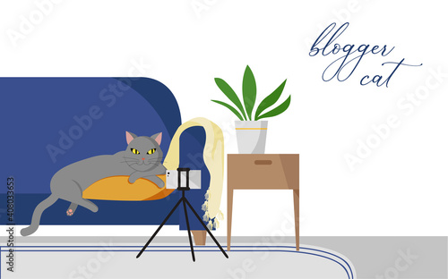 cute cat blogger lies on a pillow in the middle of a blue sofa in front of the phone. Live stream, take a photo, take a selfie, record a podcast. Online banner of new professions.