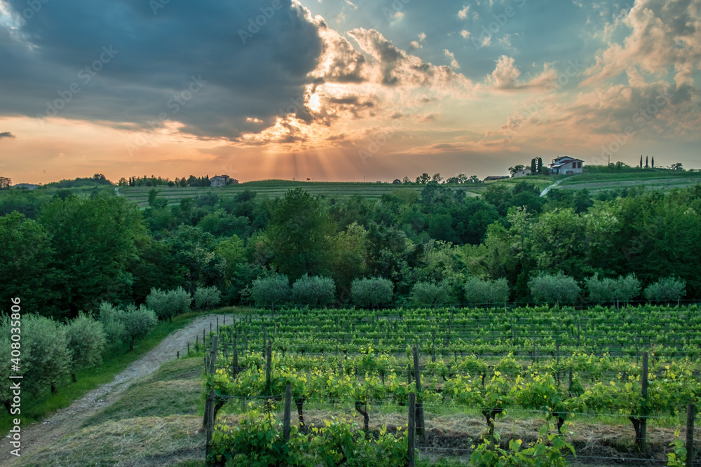 Spring stormy sunset in the vineyards of Collio Friulano, Friuli-Venezia Giulia, Italy