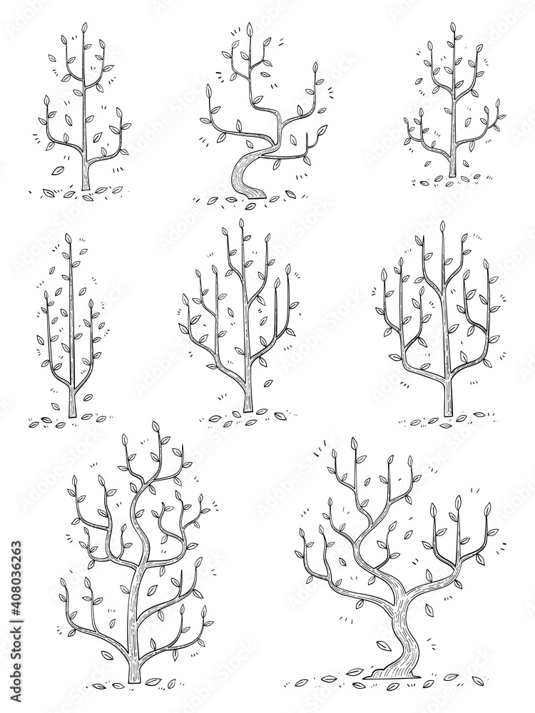 Fototapeta premium hand drawn side view tree vector set.