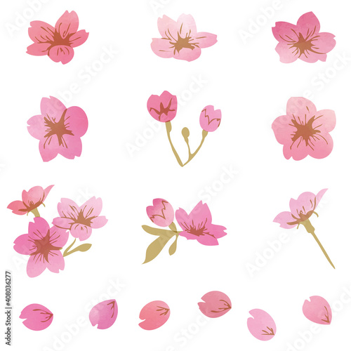 水彩風　桜イラスト素材